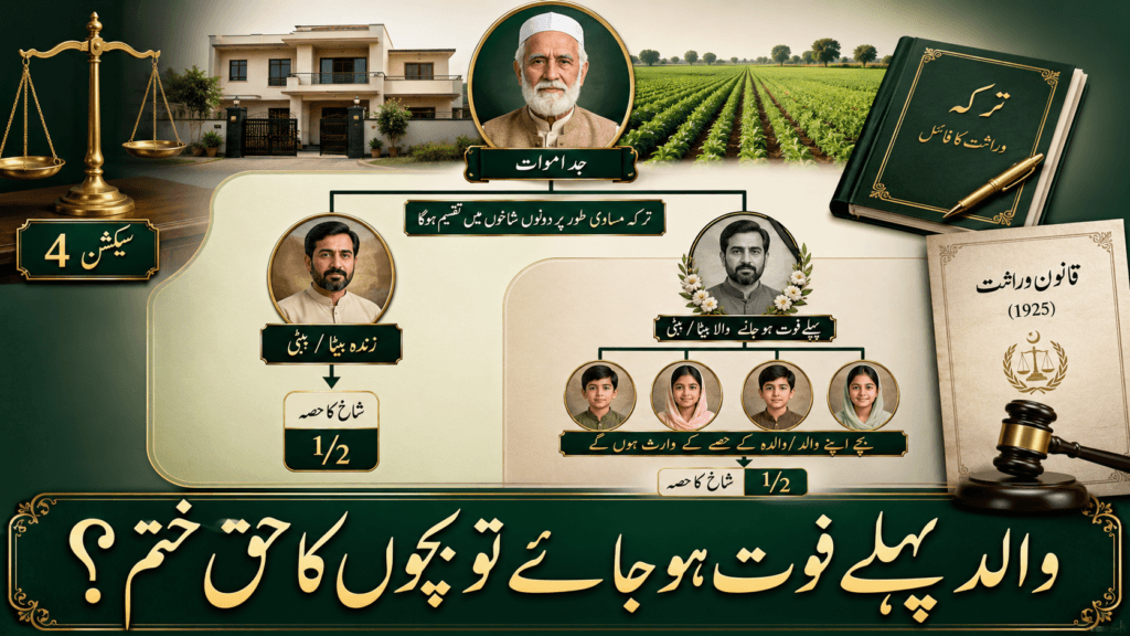 Section 4 inheritance rights of grandchildren when parent dies before grandparent in Pakistan